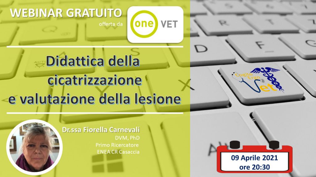 carnevali 9 aprile 002