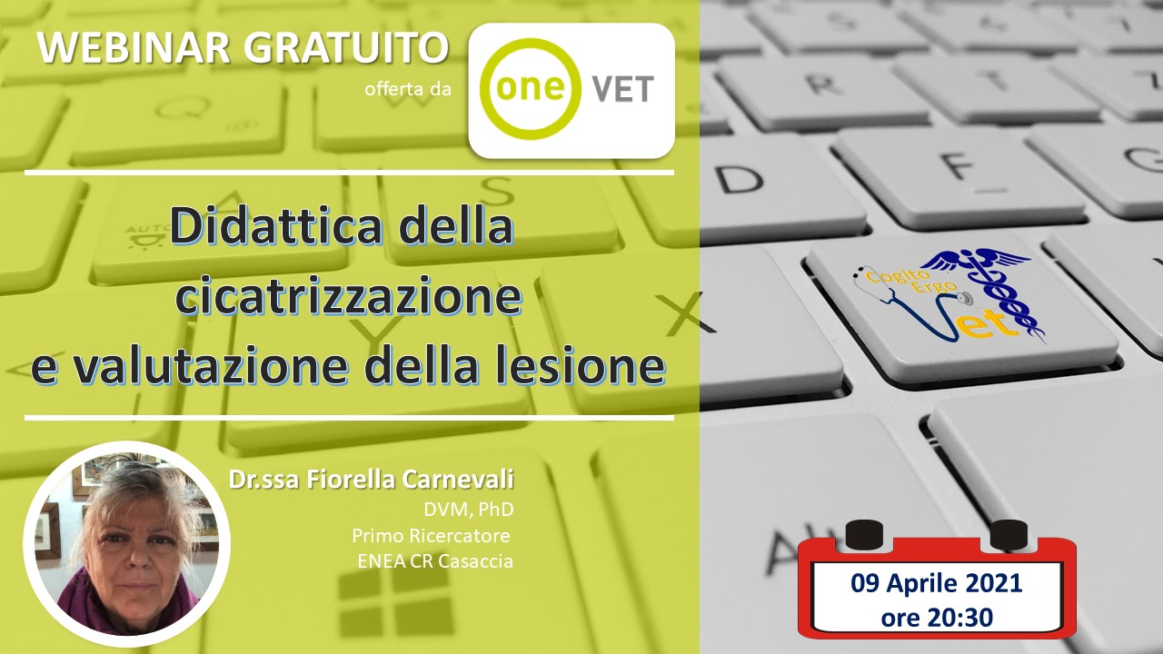 carnevali 9 aprile 002